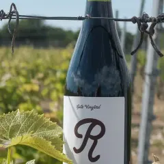 En flaska vin från vingården Hablingbo står bland vinrankor.