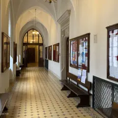 Studia historyczne: Co potem? Odkryj nieoczywiste ścieżki kariery!