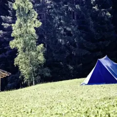 Ein blaues Zelt und ein Holzunterstand auf einer grünen Wiese vor einem dunklen Wald. Perfekt, um eine Klassenfahrt zu organisieren.