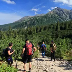 Grupa ludzi wyrusza na górski szlak. To właśnie jest trekking – piesza wędrówka po górach, często wymagająca i pełna przygód.