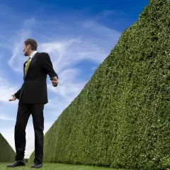 Mann im Anzug steht vor einer Hecke, die wie ein Labyrinth wirkt. Er wirkt ratlos, als ob er eine christliche Sekten Liste sucht.