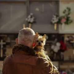 Czy na cmentarz można wejść z psem? Sprawdź lokalne przepisy