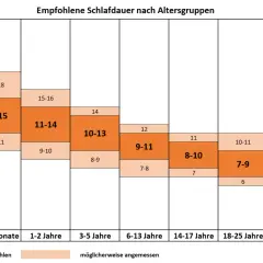 Empfohlene Schlafdauer nach Altersgruppen: Tabelle zeigt, wie viel Schlaf für verschiedene Altersgruppen optimal ist, von Babys bis Senioren.