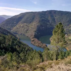 Un río serpentea entre montañas boscosas en Ribas de Sil. El sol ilumina el paisaje otoñal.