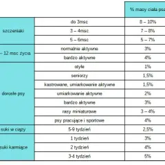 Ile karmy dla psa? Oblicz idealną porcję krok po kroku