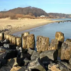 Kamienne falochrony i drewniane pale na plaży w Gdyni Oksywie. W tle piaszczysta plaża i zalesione wzgórza.