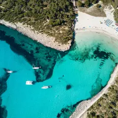 Traumhafte Bucht mit türkisfarbenem Wasser, weißen Sandstrand und Pinienwäldern. Ein Muss, was man auf Mallorca gesehen haben muss!