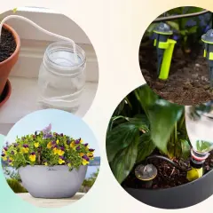 Självvattnande system för blommor. Perfekt för att vattna blommor på semester.