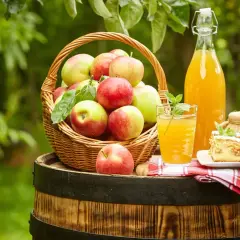 Frischer, selbstgemachter Apfelsaft in einer Flasche und einem Glas, daneben ein Korb voller Äpfel und ein Stück Apfelkuchen. Haltbarkeit von selbstgemachtem Apfelsaft beachten.