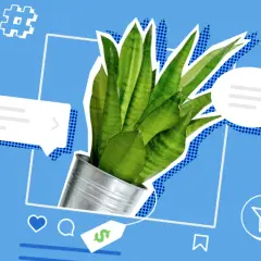 Jak wejść w link bio na Instagramie? Zobacz, jak łatwo znaleźć cenne informacje i oferty, jak ta roślina w doniczce.