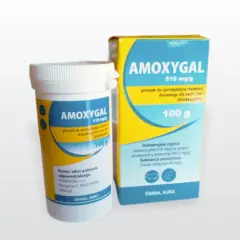 Proszek AMOXYGAL 510 mg/g dla świń i kur, zawiera amoksycylinę. Opakowanie 100 g.