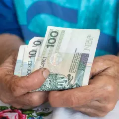 Dłonie trzymają banknoty 100 zł. Zastanawiasz się, ile wynosi najniższa emerytura z ZUS?