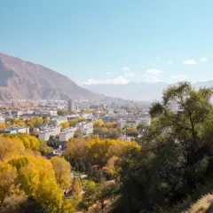 Widok na miasto Lhasa otoczone górami, z jesiennymi drzewami w złocistych barwach i fragmentem białego muru.