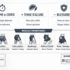 Infographie sur les bénéfices d'un circuit renforcement musculaire : économie de course, tenue d'allure, moins de blessures. Muscles prioritaires : fessiers, ischios, quadriceps, mollets, tronc.