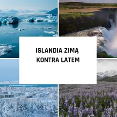 Lodowe góry, wodospad z tęczą, zimowe Reykjavik i pola łubinu. Kiedy zwiedzać Islandię? Zobacz kontrast między zimą a latem.