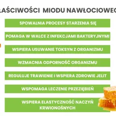 Miód nawłociowy na co pomaga i jak może poprawić zdrowie