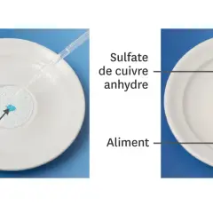 Sulfate de cuivre anhydre réagit avec un liquide, montrant le danger potentiel pour la santé. Une autre image montre le sulfate de cuivre sur un aliment.