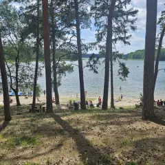 Plaża nad jeziorem, ludzie odpoczywają wśród drzew. Puszcza zielonka zachęca do relaksu.