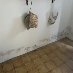 Schimmel an der Wand deutet auf Feuchtigkeitsprobleme hin. Es ist Zeit, den Boden und die Wände abzudichten, um weitere Schäden zu vermeiden.