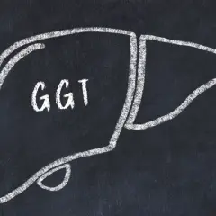 Szkic wątroby z napisem GGT. Wartość GGT norma jest kluczowa dla oceny stanu tego narządu.