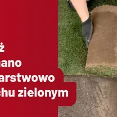 Jak zrobić trawę na dachu - krok po kroku do pięknego zielonego dachu