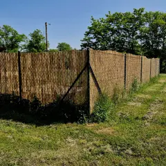 Czym obsadzić płot z siatki? Pnącza, żywopłoty i eko-pomysły!