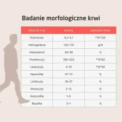 Tabela badań morfologicznych krwi. Monocyty to jeden z rodzajów białych krwinek, których norma wynosi 3-12%.