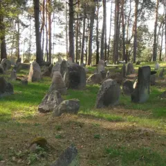 Kamienne nagrobki na cmentarzu tatarskim, otoczone sosnowym lasem. Słońce przebija się przez drzewa, oświetlając zieloną trawę i kamienie.
