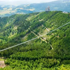 Najwyższy most w Czechach, Sky Bridge 721, przecina gęsty las na zboczu góry. Widok zapiera dech w piersiach.