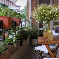 Blumenkästen mit bunten Blüten und Kräutern bieten tolle balkonbepflanzung ideen. Ein Tisch mit erfrischendem Getränk und Blumensträußen lädt zum Verweilen ein.