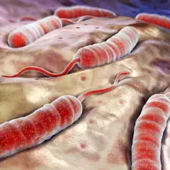 Czy cholera to grzech? Odkryj moralne aspekty użycia tego słowa