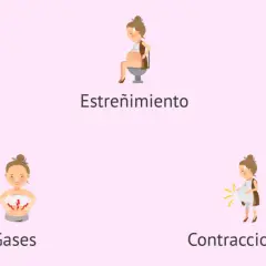 Ilustraciones de síntomas comunes del embarazo: presión uterina, estreñimiento, acidez, gases y contracciones. El dolor es parte de la experiencia.