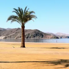 Piękna plaża w Egipcie, palmy rzucają cień na złoty piasek, a w oddali widać spokojne morze i góry.