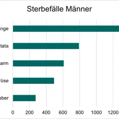 Balkendiagramm zeigt Sterbefälle bei Männern in Deutschland nach Krebsart. Lungenkrebs ist am häufigsten.