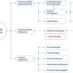 Schemat leczenia niedrobnokomórkowego raka płuca, uwzględniający różne etapy i metody, od immunoterapii po radioterapię, wpływające na długość życia.
