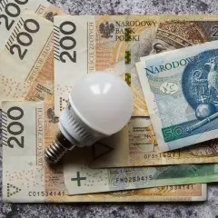 Żarówka LED na stosie banknotów 200 zł i 50 zł. Zastanawiasz się, ile kosztuje prąd w Polsce?