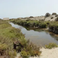 Canal de agua salada rodeado de vegetación en el parque natural Roquetas de Mar. Se aprecian ruinas y un cielo despejado.