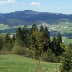 Widok na zielone wzgórza i lasy, gdzie leżą Gorce. W oddali widać zabudowania i pola uprawne.