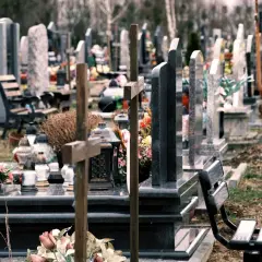 Cmentarz z nagrobkami i krzyżami. W oddali widać drzewa. Co oznacza RIP na pomniku? To skrót od łacińskiego "Requiescat in pace", czyli "Niech spoczywa w pokoju".