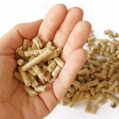 Dłoń trzymająca pellet, który jest rodzajem biomasy. W tle rozsypane granulki.