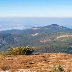 Widok z górnej części zbocza na zalesione pasma górskie i doliny. To najładniejszy szlak na Śnieżnik, z piękną panoramą.