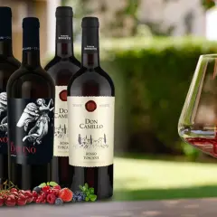 Flaschen mit teurem italienischem Rotwein, darunter "Il Divino" und "Don Camillo", werden vor einem Glas Rotwein präsentiert, in das gerade eingeschenkt wird. Frische Beeren und Kirschen liegen im Vordergrund.