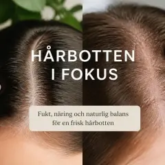 Två närbilder av hårbotten, en med mörkt hår och en med ljusare hår. Texten "HÅR BOTTEN I FOKUS" och "Fukt, näring och naturlig balans för en frisk hårbotten" antyder vikten av att exfoliera hårbotten för en hälsosam hårväxt.