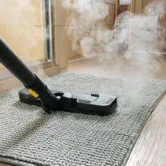 Mop parowy na roztocza? Odkryj fakty i ulgę dla alergików!