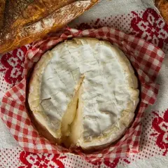 Uwaga! Nigdy nie dawaj psu sera camembert - poznaj groźne skutki uboczne