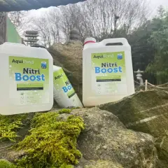 Bouteilles de "Nitri Boost" d'AquiPond, contenant des bactéries bénéfiques pour les plans d'eau, posées sur des rochers moussus près d'un étang.