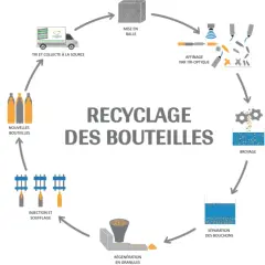 Schéma du recyclage des bouteilles en plastique : collecte, tri optique, broyage, régénération en granulés, injection/soufflage pour de nouvelles bouteilles.