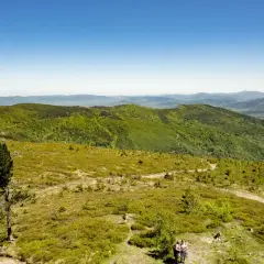 Widok na zielone wzgórza i góry, z krętym szlakiem prowadzącym przez łąki. Barania Góra szlak zaprasza do wędrówki.