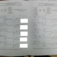 Jak wypełnić dziennik praktyk zawodowych? Poradnik i klucz do kariery