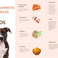 Mi perro tiene alergia, ¿qué le puedo dar? Elige entre ácidos grasos omega-3, quercetina, jengibre, cúrcuma, manzanilla, perilla o vitamina C.